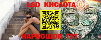 a pvp Свободный