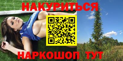 a pvp Свободный