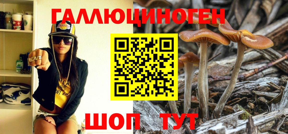 Псилоцибиновые грибы Отрадный