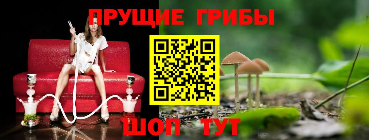 Галлюциногенные грибы MAGIC MUSHROOMS Отрадный