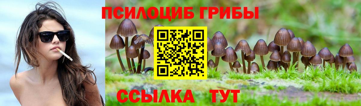 Псилоцибиновые грибы Magic Shrooms  Вход с VPN  Галлюциногенные грибы GOLDEN TEACHER  Отрадный 